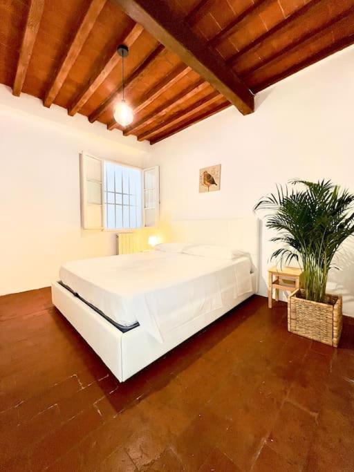 Casa Centro Firenze Wi Fi Aria Condizionata Netflix Apartment Luaran gambar