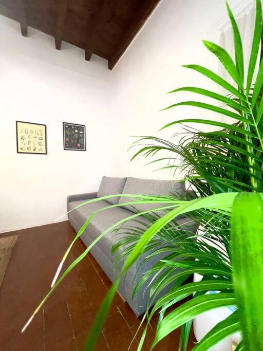 Casa Centro Firenze Wi Fi Aria Condizionata Netflix Apartment Luaran gambar