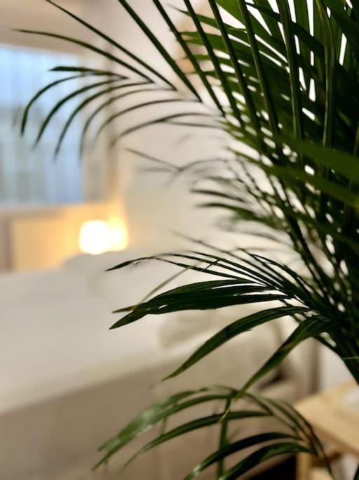Casa Centro Firenze Wi Fi Aria Condizionata Netflix Apartment Luaran gambar